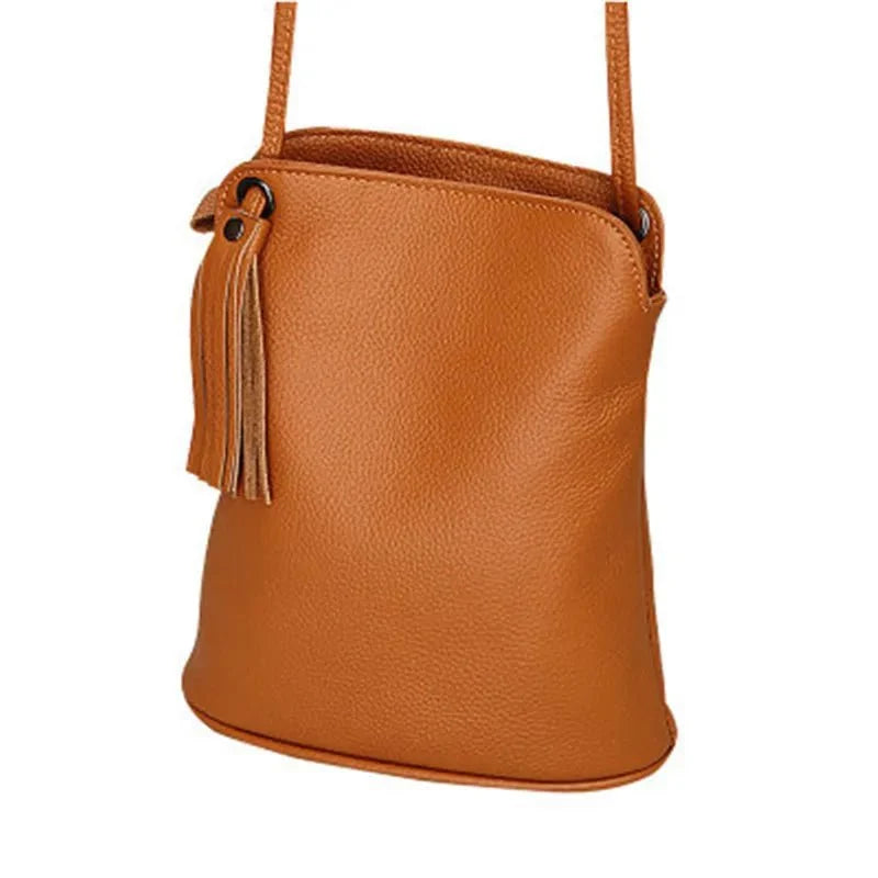 Genuine Leather Crossbody Bag with Mini Detail