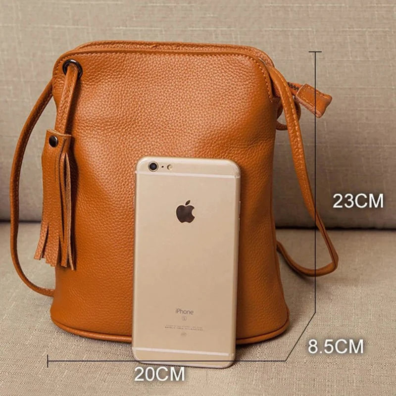 Genuine Leather Crossbody Bag with Mini Detail